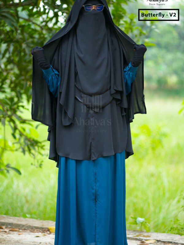 বাটারফ্লাই ভার্সন'টু