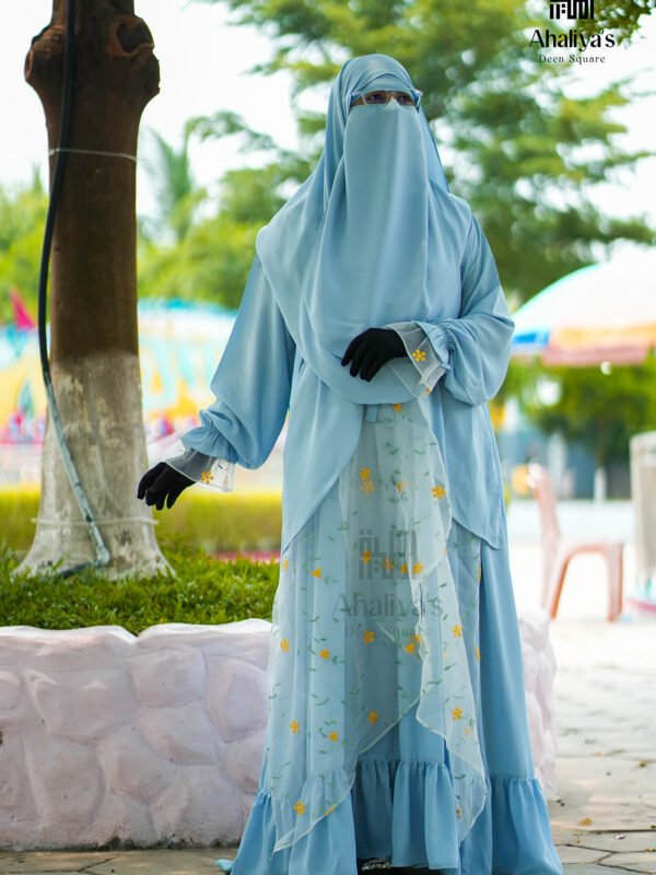 লাক্সজারিয়াস নেট আবায়া ভার্সন টু